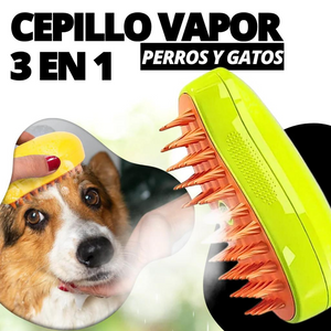 CEPILLO DE VAPOR PARA GATOS 3 En 1, Autolimpiante